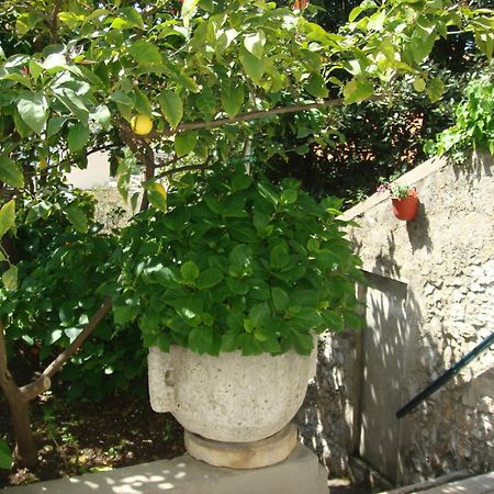 Guesthouse Manda Dubrovnik Eksteriør billede