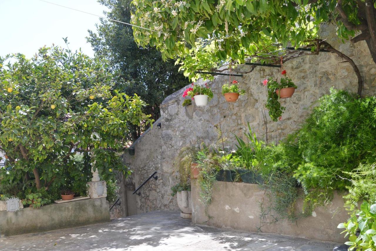 Guesthouse Manda Dubrovnik Eksteriør billede