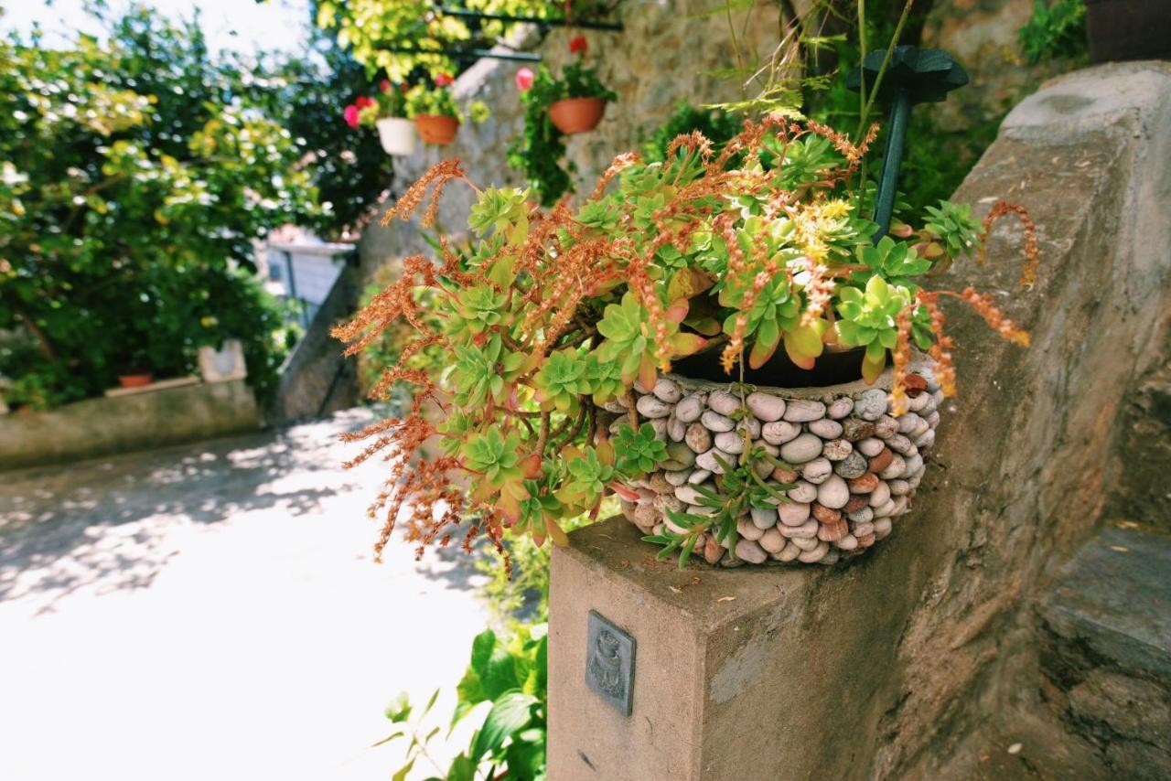 Guesthouse Manda Dubrovnik Eksteriør billede