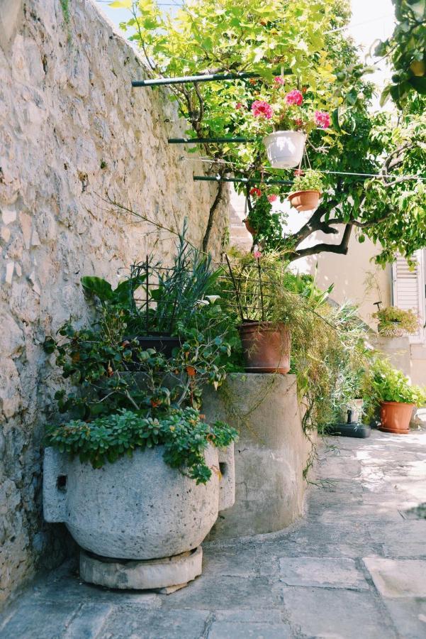 Guesthouse Manda Dubrovnik Eksteriør billede