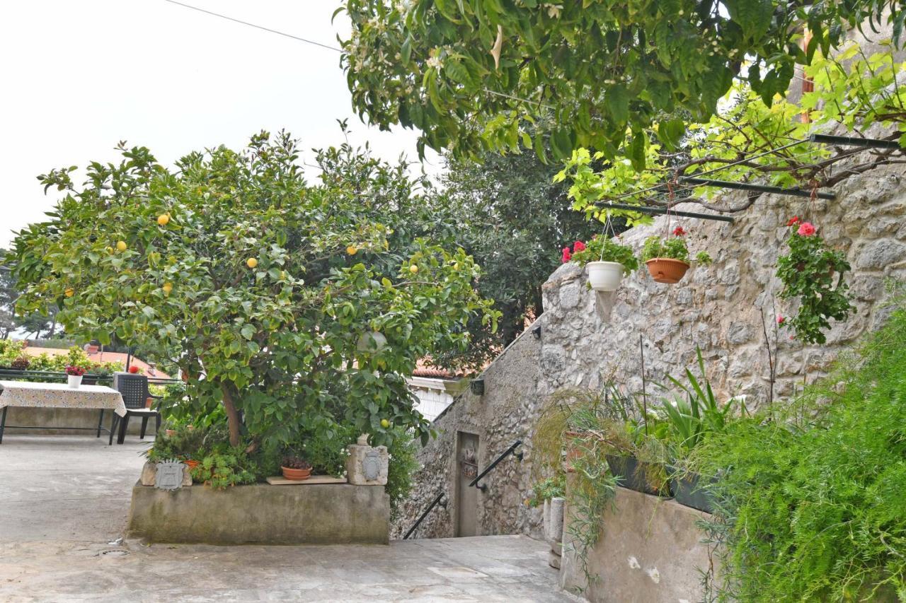 Guesthouse Manda Dubrovnik Eksteriør billede