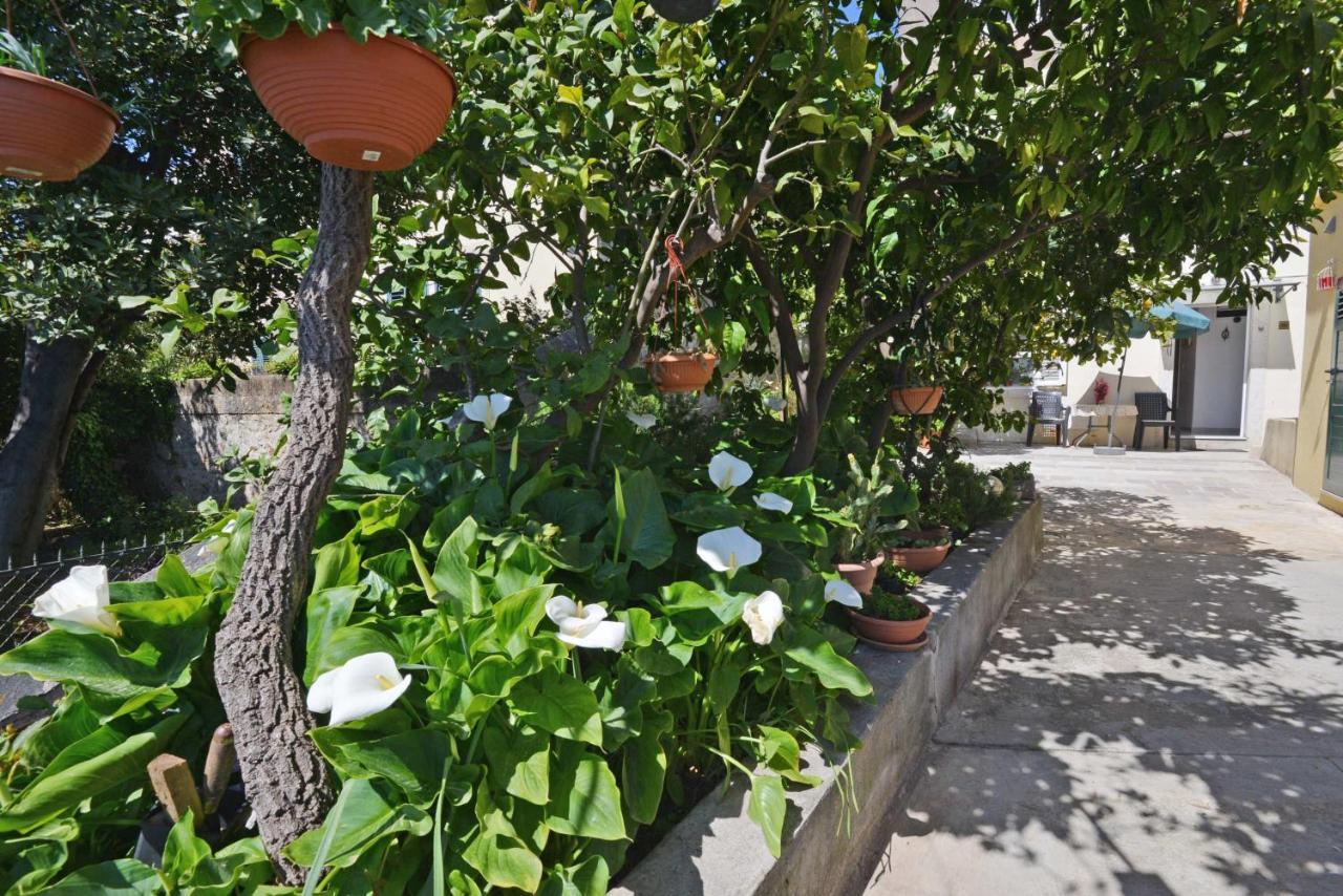 Guesthouse Manda Dubrovnik Eksteriør billede