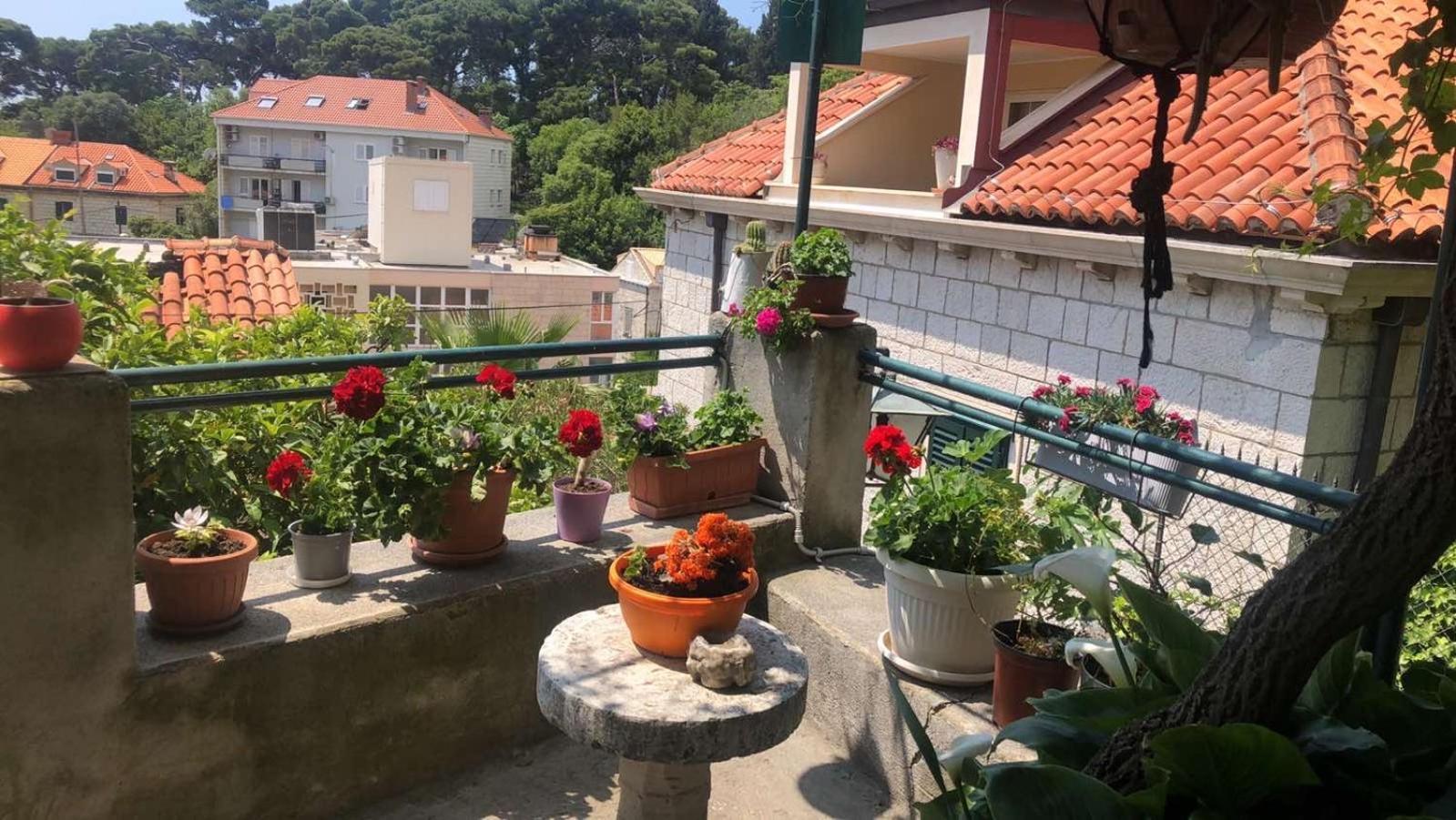 Guesthouse Manda Dubrovnik Eksteriør billede