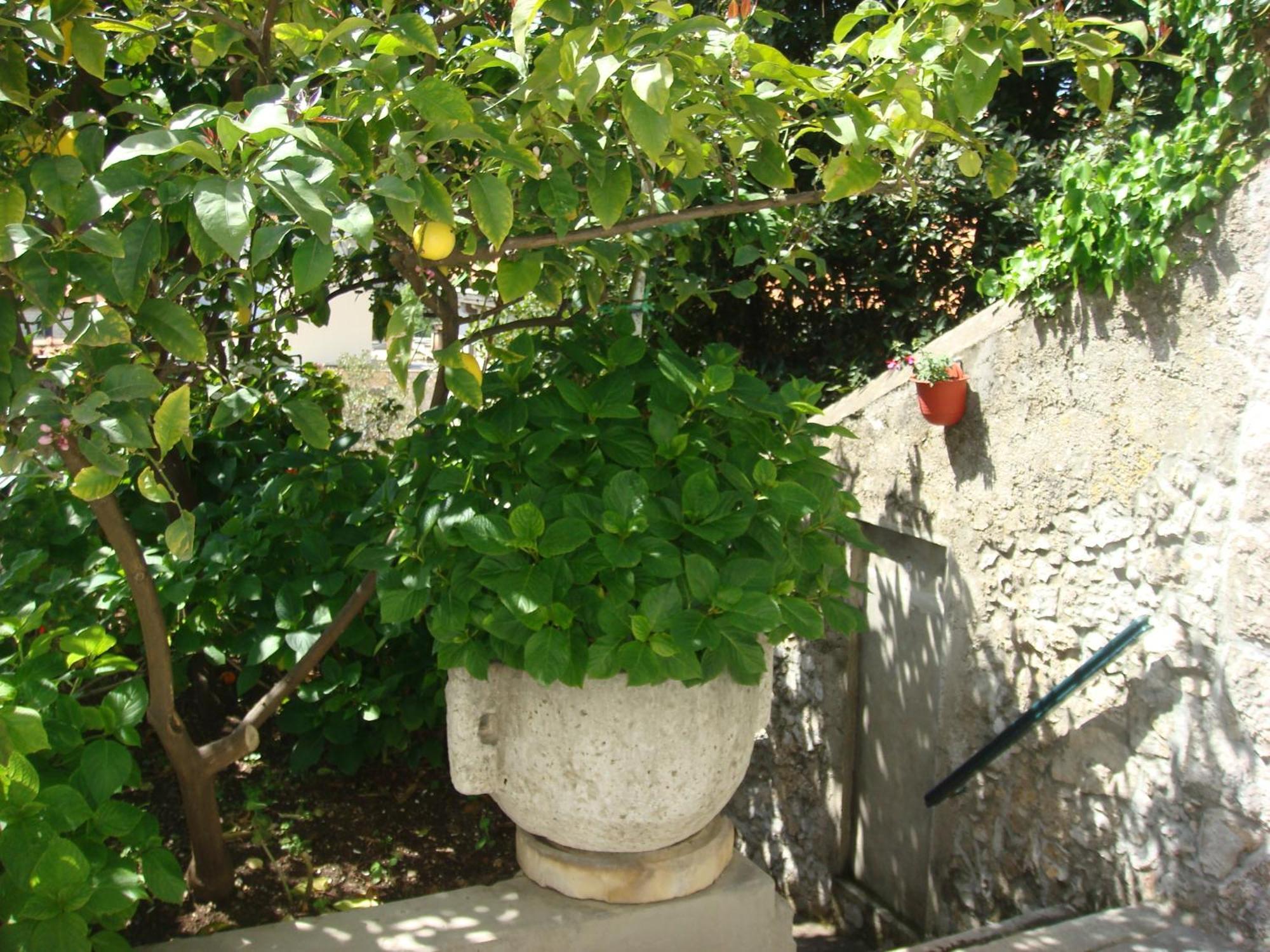 Guesthouse Manda Dubrovnik Eksteriør billede